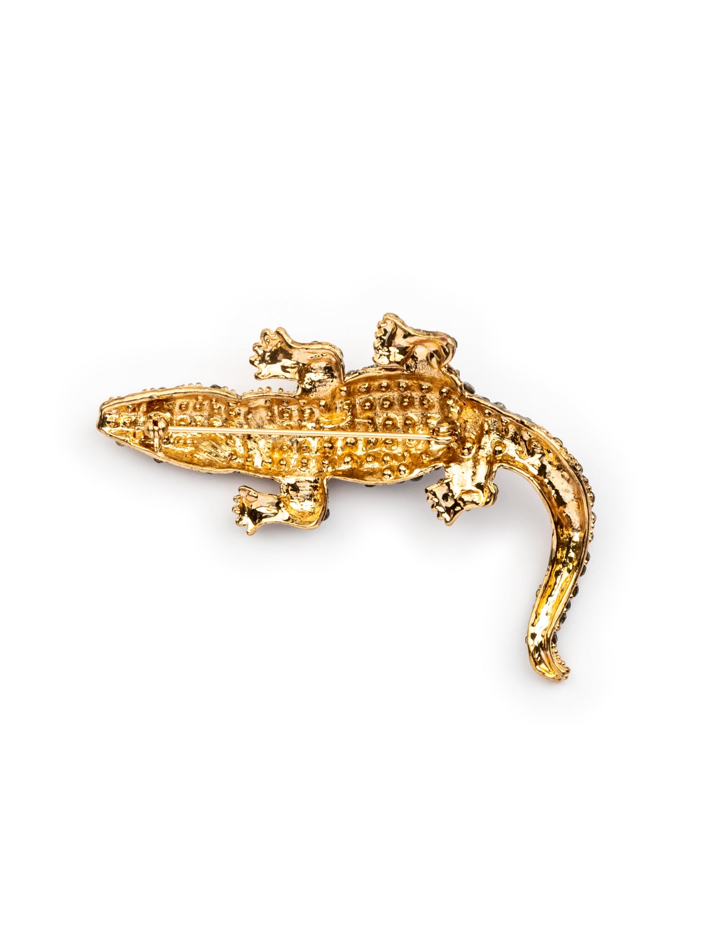 Studded crocodile