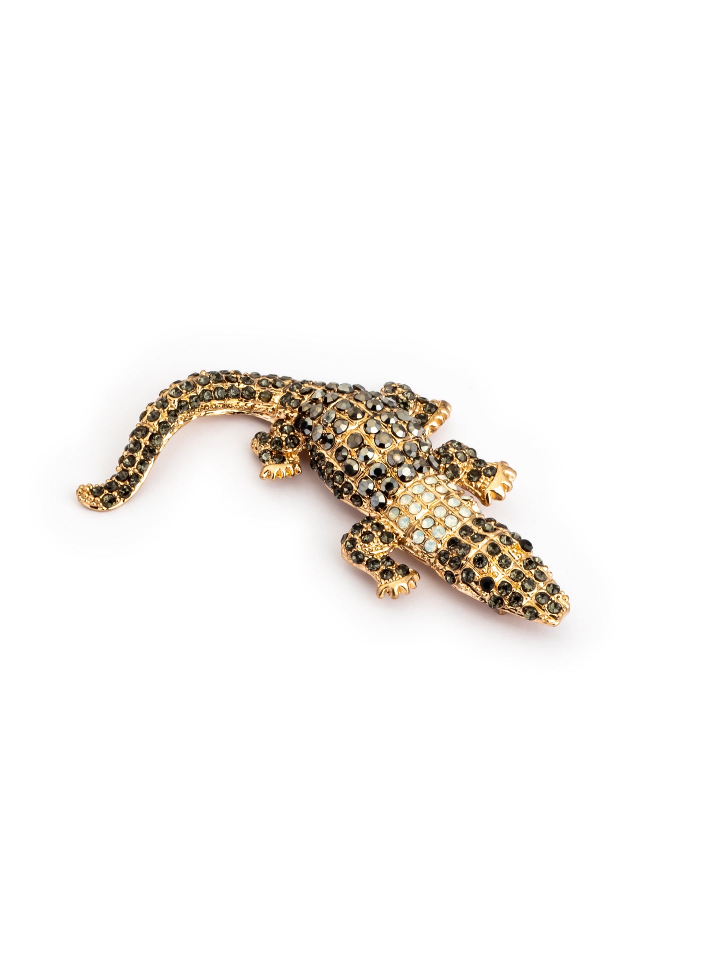 Studded crocodile