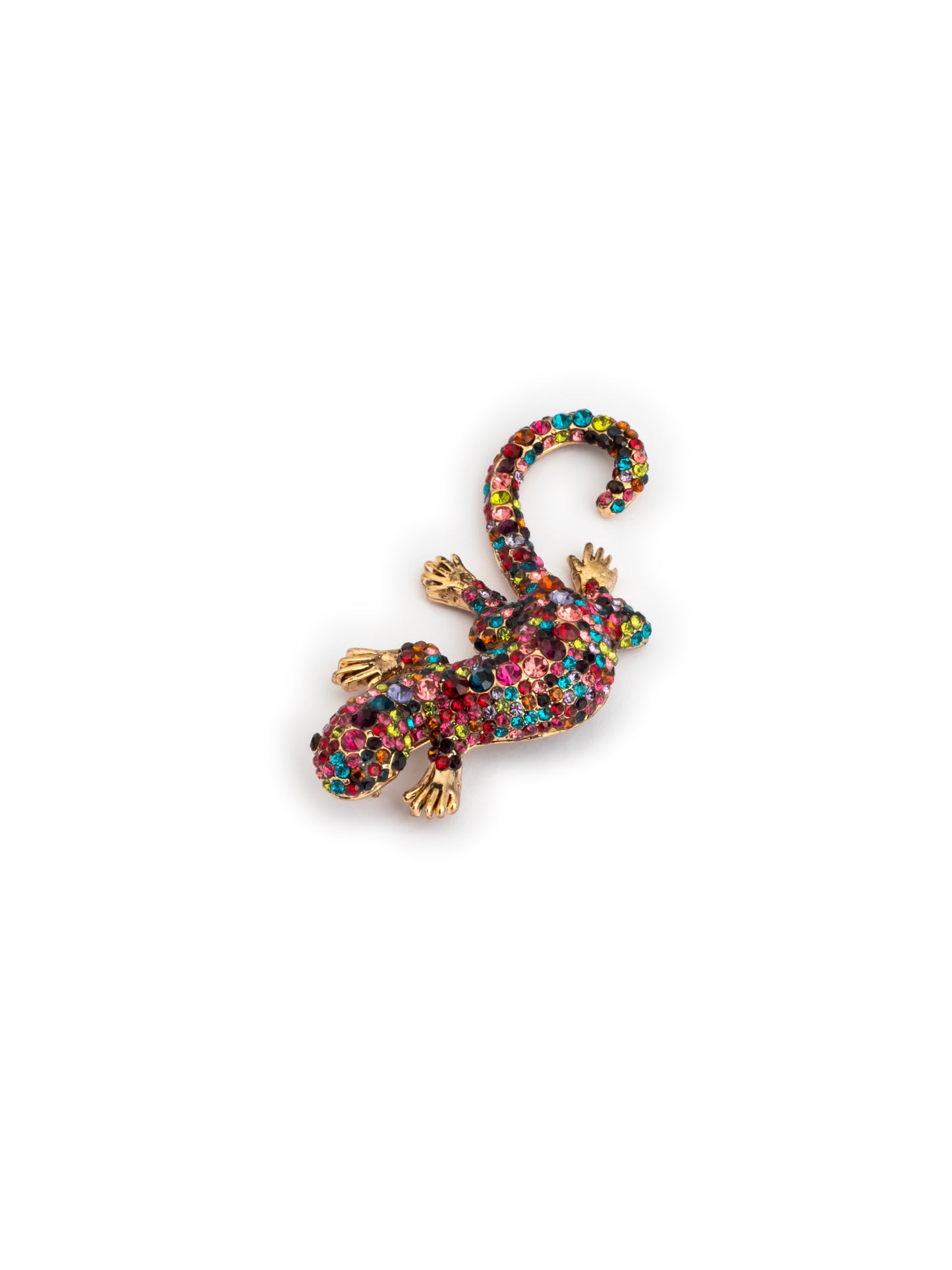 Multicolour chipkali