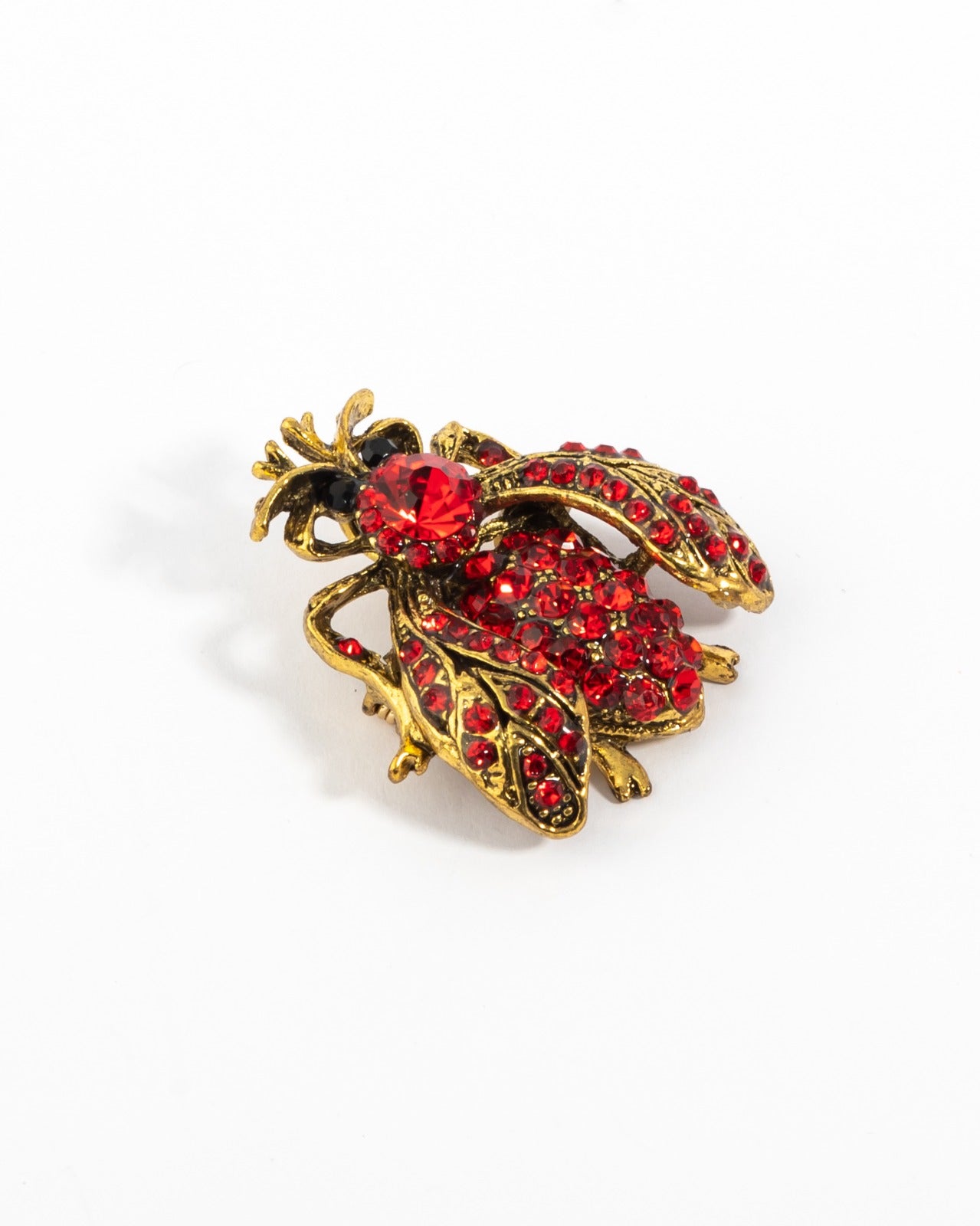The Scarlet scarab brooch