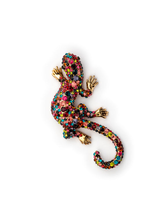 Multicolour chipkali